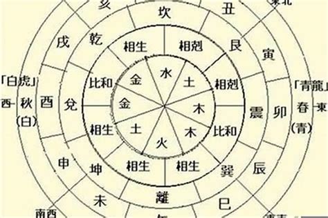 五行多木|八字五行木多的人好不好 (五行木多的人有什么特点)